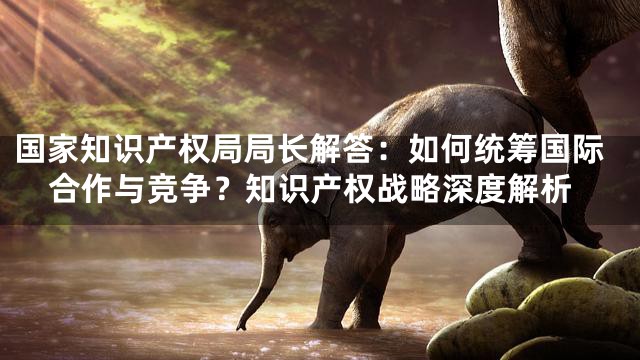 国家知识产权局局长解答：如何统筹国际合作与竞争？知识产权战略深度解析
