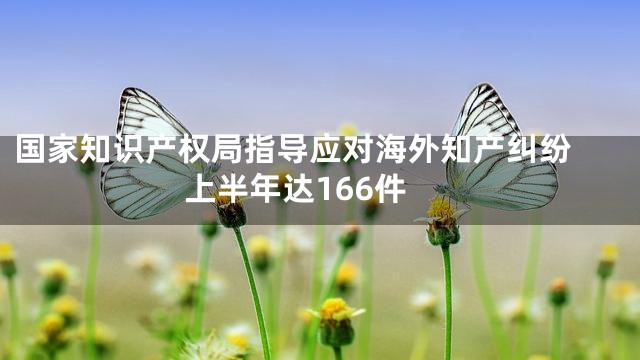 国家知识产权局指导应对海外知产纠纷 上半年达166件
