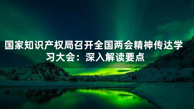 国家知识产权局召开全国两会精神传达学习大会：深入解读要点