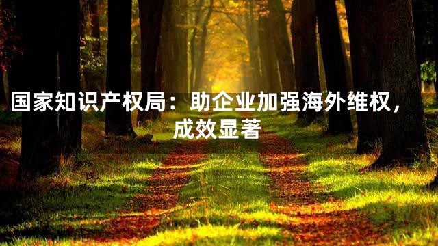 国家知识产权局：助企业加强海外维权，成效显著