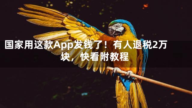 国家用这款App发钱了！有人退税2万块，快看附教程