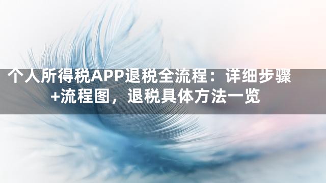 个人所得税APP退税全流程：详细步骤+流程图，退税具体方法一览