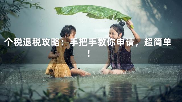 个税退税攻略：手把手教你申请，超简单！