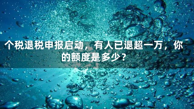个税退税申报启动，有人已退超一万，你的额度是多少？