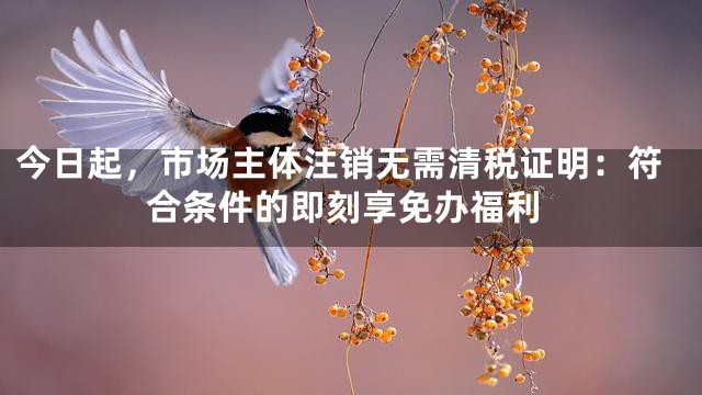 今日起，市场主体注销无需清税证明：符合条件的即刻享免办福利