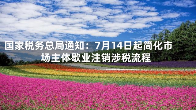 国家税务总局通知：7月14日起简化市场主体歇业注销涉税流程