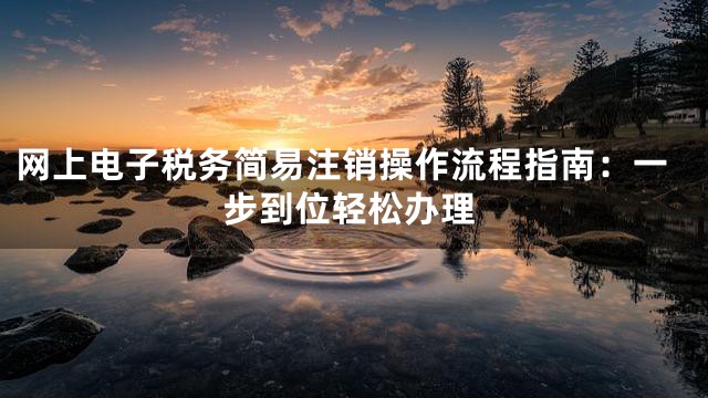 网上电子税务简易注销操作流程指南：一步到位轻松办理