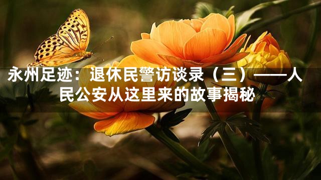 永州足迹：退休民警访谈录（三）——人民公安从这里来的故事揭秘