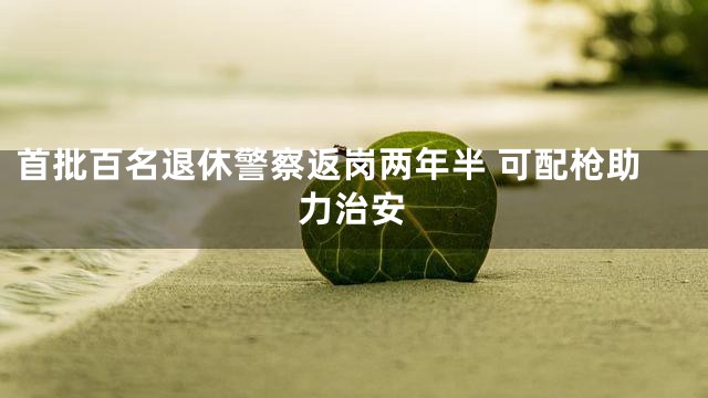 首批百名退休警察返岗两年半 可配枪助力治安