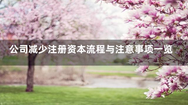 公司减少注册资本流程与注意事项一览