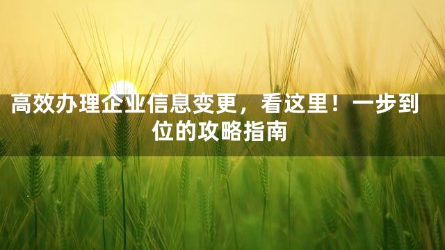 高效办理企业信息变更，看这里！一步到位的攻略指南