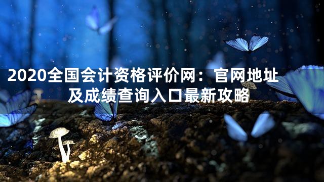 2020全国会计资格评价网：官网地址及成绩查询入口最新攻略