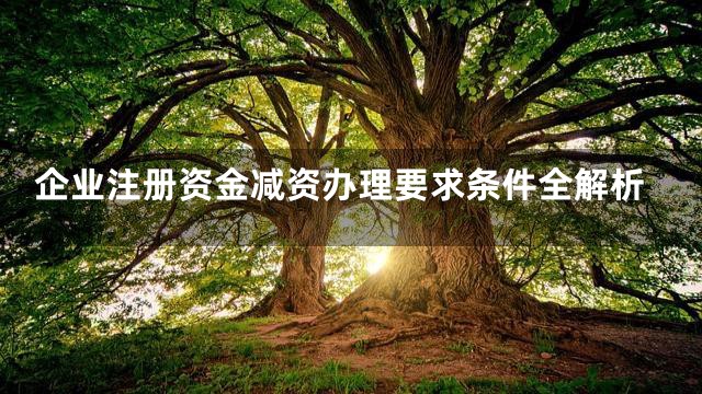 企业注册资金减资办理要求条件全解析