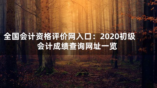 全国会计资格评价网入口：2020初级会计成绩查询网址一览