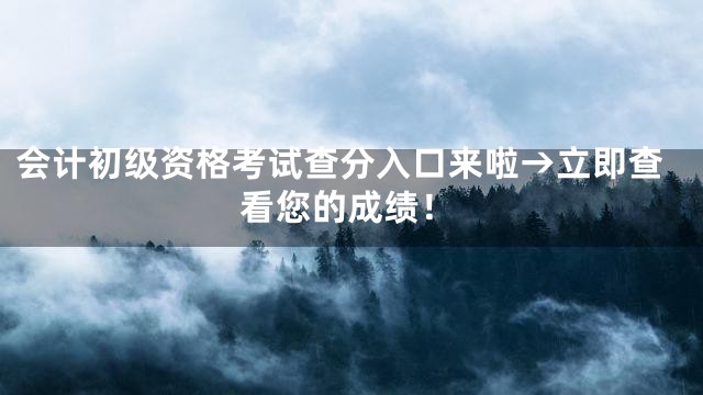 会计初级资格考试查分入口来啦→立即查看您的成绩！