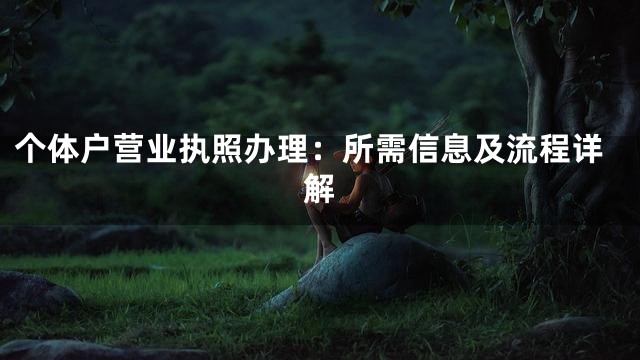 个体户营业执照办理：所需信息及流程详解