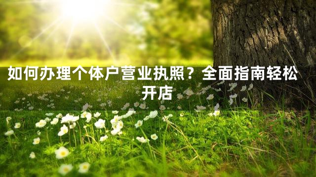 如何办理个体户营业执照？全面指南轻松开店