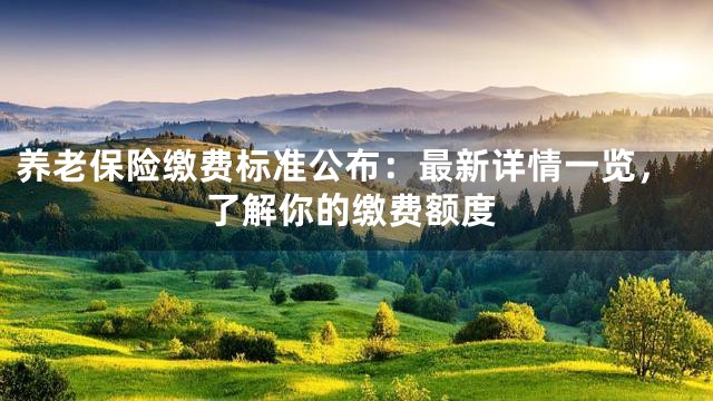 养老保险缴费标准公布：最新详情一览，了解你的缴费额度