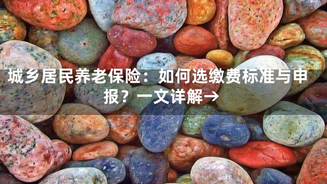 城乡居民养老保险：如何选缴费标准与申报？一文详解→