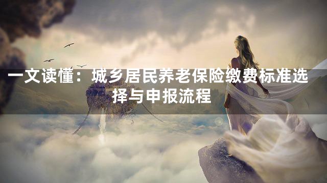 一文读懂：城乡居民养老保险缴费标准选择与申报流程