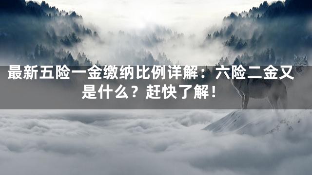 最新五险一金缴纳比例详解：六险二金又是什么？赶快了解！