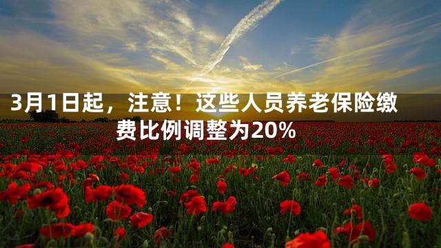 3月1日起，注意！这些人员养老保险缴费比例调整为20%