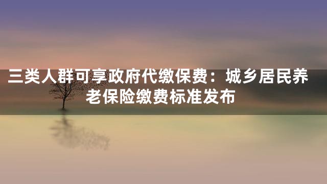 三类人群可享政府代缴保费：城乡居民养老保险缴费标准发布