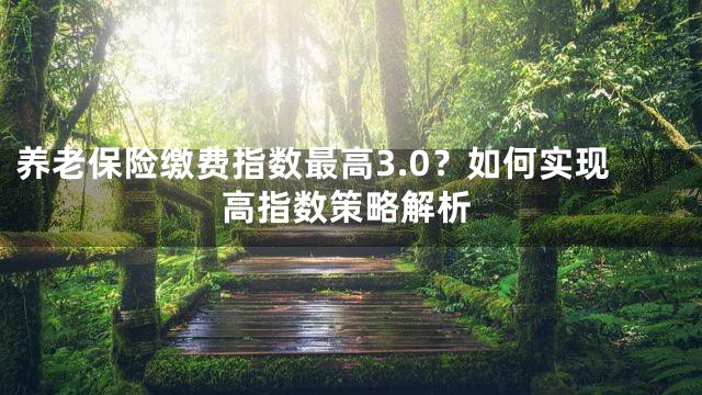 养老保险缴费指数最高3.0？如何实现高指数策略解析