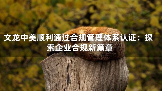 文龙中美顺利通过合规管理体系认证：探索企业合规新篇章