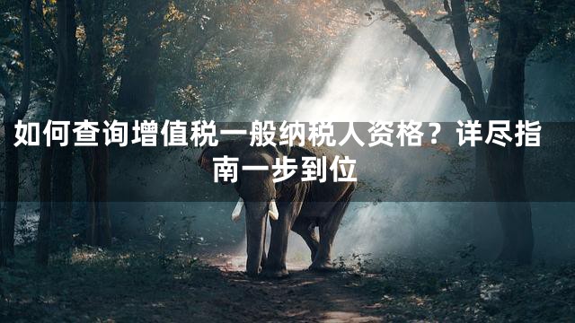 如何查询增值税一般纳税人资格？详尽指南一步到位