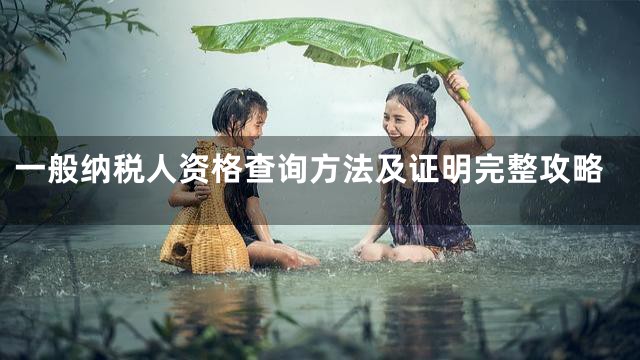 一般纳税人资格查询方法及证明完整攻略