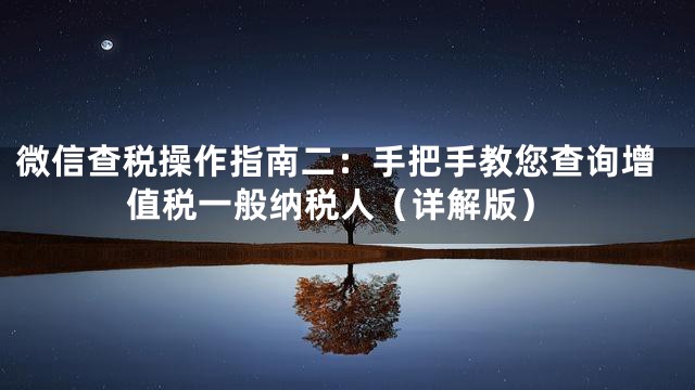 微信查税操作指南二：手把手教您查询增值税一般纳税人（详解版）