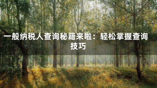 一般纳税人查询秘籍来啦：轻松掌握查询技巧