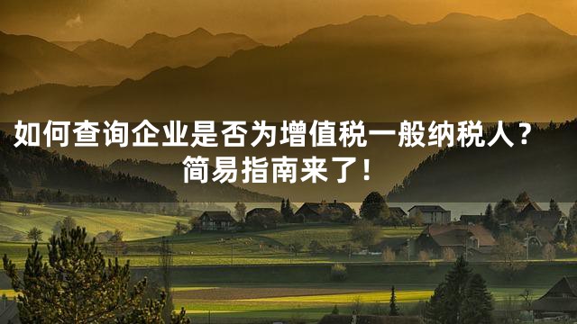 如何查询企业是否为增值税一般纳税人？简易指南来了！