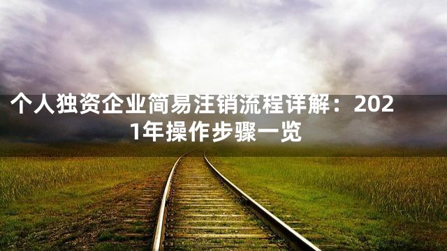 个人独资企业简易注销流程详解：2021年操作步骤一览