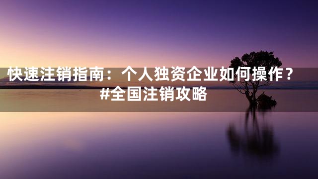 快速注销指南：个人独资企业如何操作？#全国注销攻略