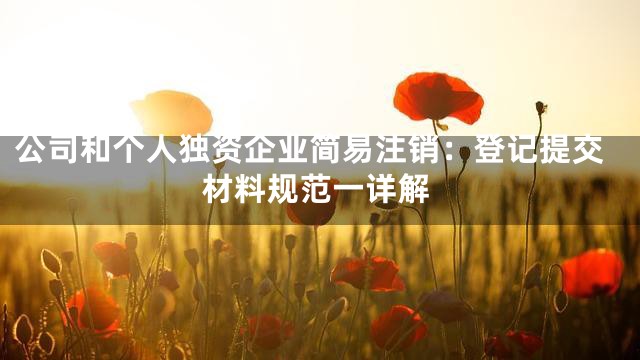 公司和个人独资企业简易注销：登记提交材料规范一详解