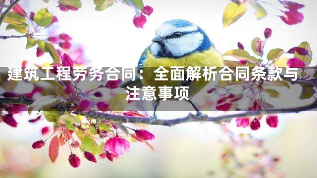 建筑工程劳务合同：全面解析合同条款与注意事项