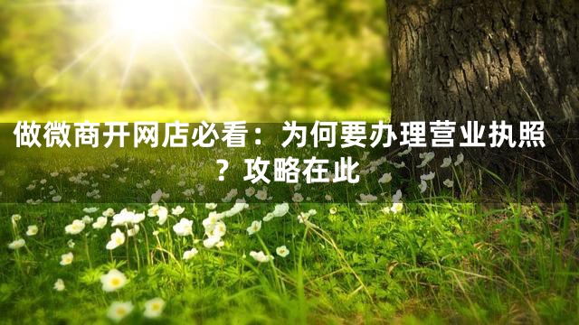 做微商开网店必看：为何要办理营业执照？攻略在此