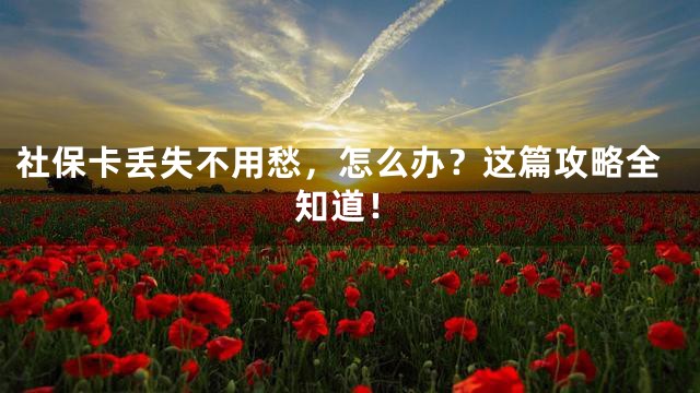 社保卡丢失不用愁，怎么办？这篇攻略全知道！