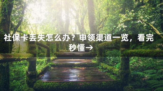 社保卡丢失怎么办？申领渠道一览，看完秒懂→