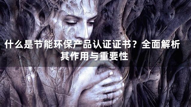 什么是节能环保产品认证证书？全面解析其作用与重要性