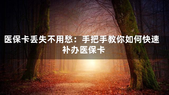 医保卡丢失不用愁：手把手教你如何快速补办医保卡