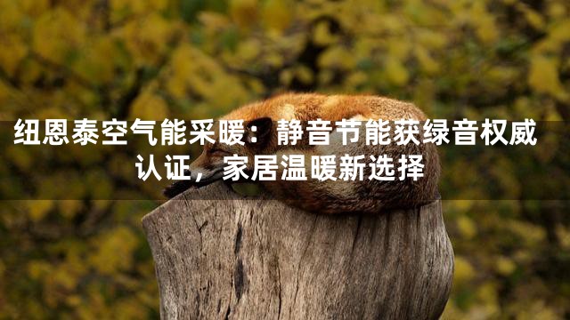 纽恩泰空气能采暖：静音节能获绿音权威认证，家居温暖新选择