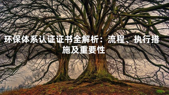 环保体系认证证书全解析：流程、执行措施及重要性