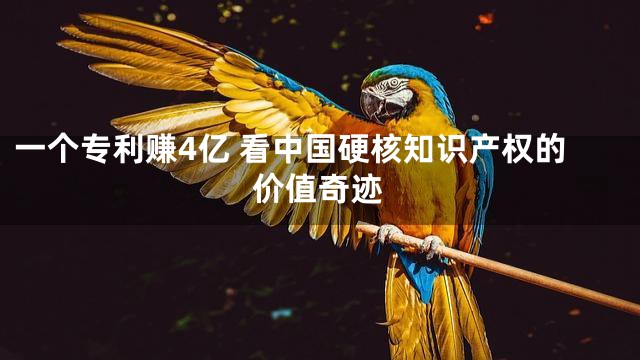 一个专利赚4亿 看中国硬核知识产权的价值奇迹