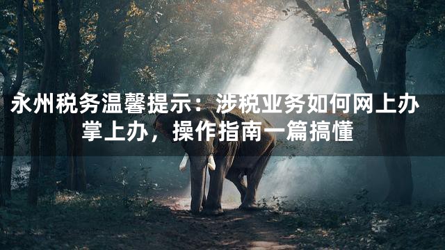 永州税务温馨提示：涉税业务如何网上办掌上办，操作指南一篇搞懂