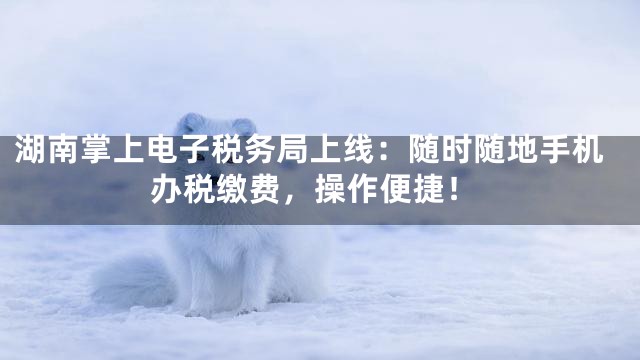 湖南掌上电子税务局上线：随时随地手机办税缴费，操作便捷！