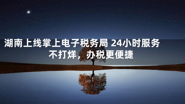 湖南上线掌上电子税务局 24小时服务不打烊，办税更便捷