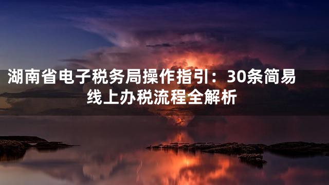 湖南省电子税务局操作指引：30条简易线上办税流程全解析
